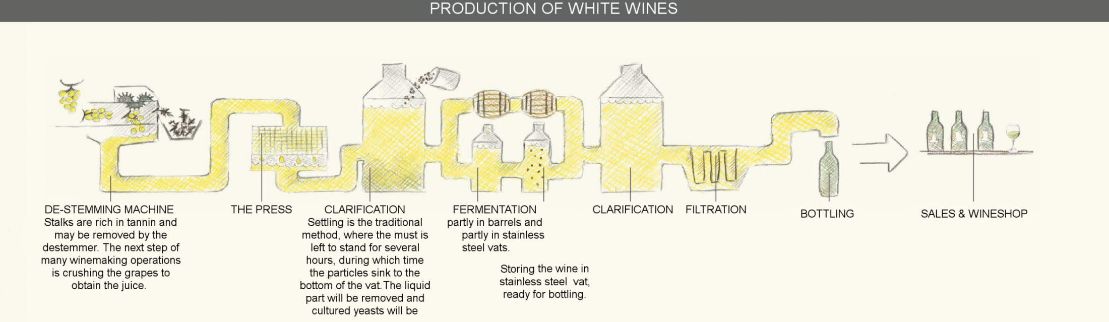 Featured image of post Simple Way to Process Of Making White Wine